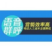语音群呼智能电话营销系统价格，语音群呼是如何提升转化率